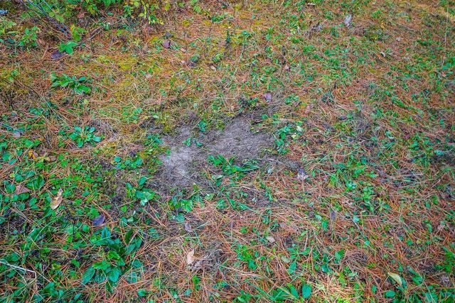 E8359 County Road H, Wisconsin Dells, WI 53965