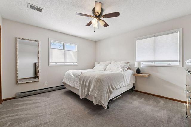 317 W 4th Street, Waconia, MN 55387