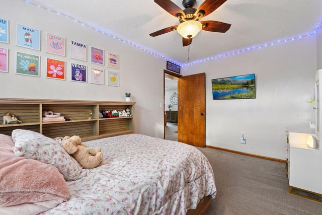 317 W 4th Street, Waconia, MN 55387