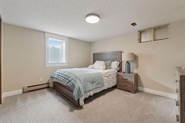 317 W 4th Street, Waconia, MN 55387