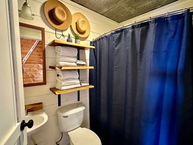 144 Hollie Lane, Mountain View, AR 72556