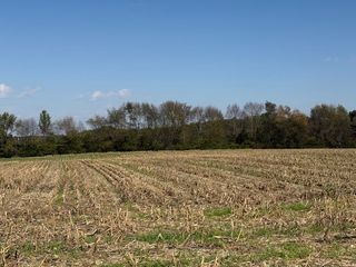 562 N Harris RD, Portland, TN 37148