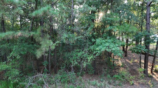 TBD Whiteside Drive, Onalaska, TX 77360