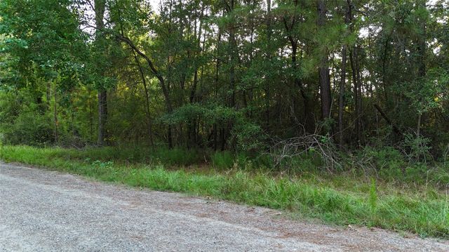 TBD Whiteside Drive, Onalaska, TX 77360