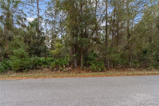 7636 W Sunburst Lane, Homosassa, FL 34448