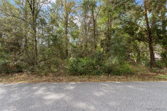 7636 W Sunburst Lane, Homosassa, FL 34448