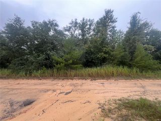 331 S CAROLINA STREET, Hawthorne, FL 32640