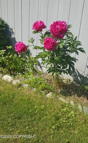 7676 E Breckenridge Drive, Wasilla, AK 99654