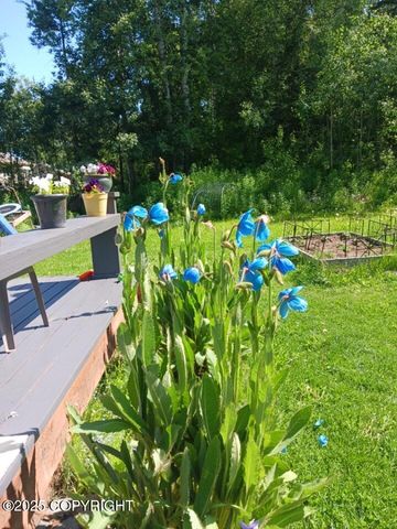 7676 E Breckenridge Drive, Wasilla, AK 99654