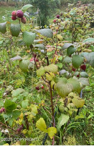 7676 E Breckenridge Drive, Wasilla, AK 99654