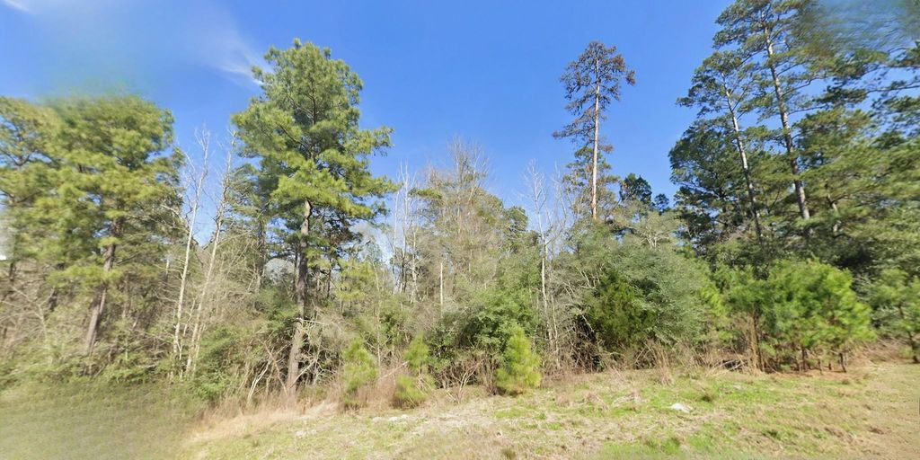 7-23-83 Sky Oak Lane, Huntsville, TX 77340