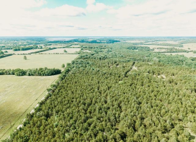 TBD CR 2975, Honey Grove, TX 75446