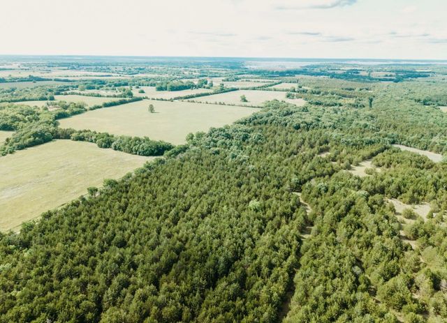 TBD CR 2975, Honey Grove, TX 75446