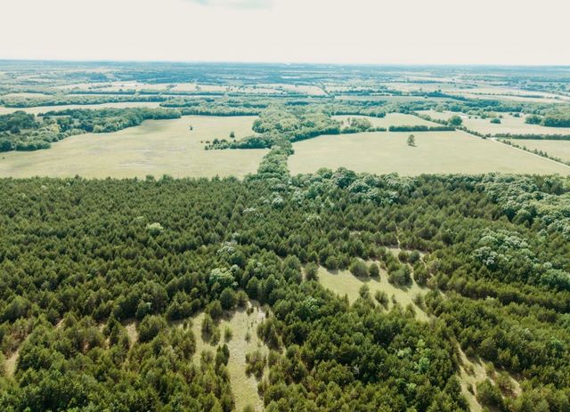 TBD CR 2975, Honey Grove, TX 75446
