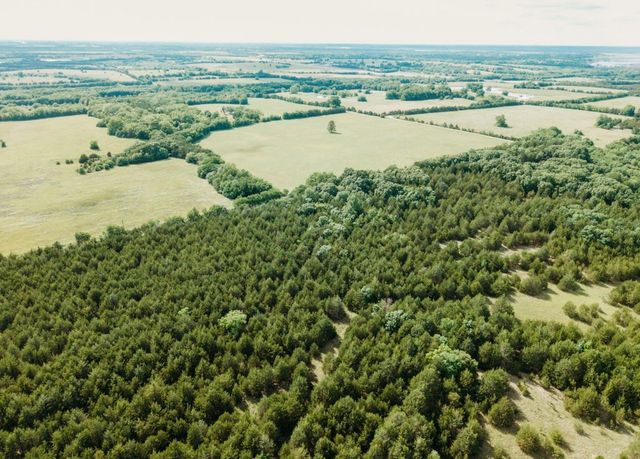 TBD CR 2975, Honey Grove, TX 75446