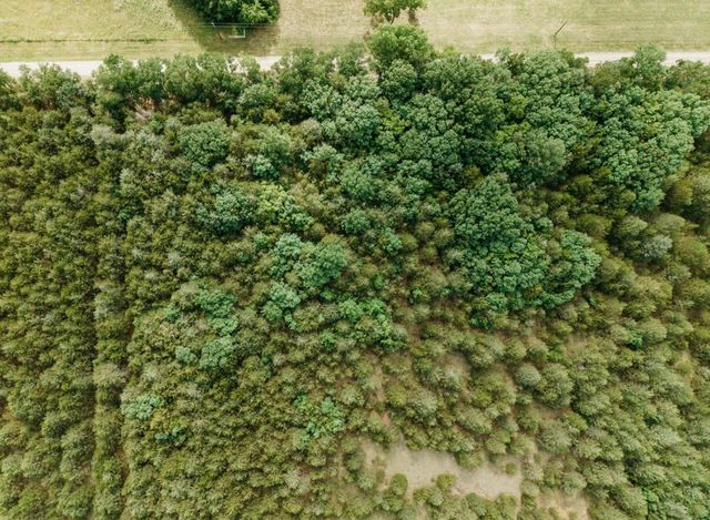 TBD CR 2975, Honey Grove, TX 75446