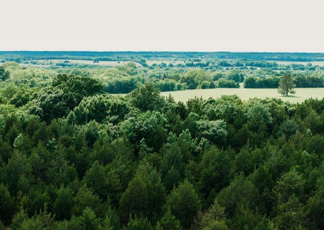 TBD CR 2975, Honey Grove, TX 75446