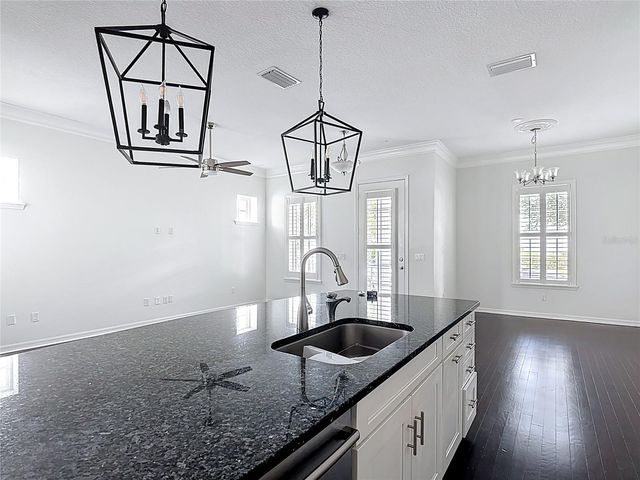 1513 RESOLUTE STREET, Celebration, FL 34747