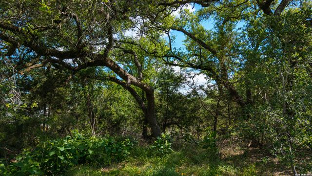 1109 Towhee, New Braunfels, TX 78132