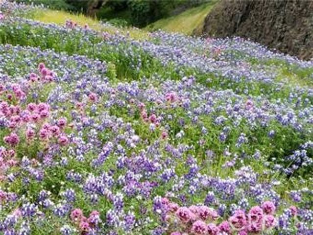 2920 Clark k-17, Butte Valley, CA 95965