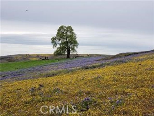 2920 Clark k-17, Butte Valley, CA 95965