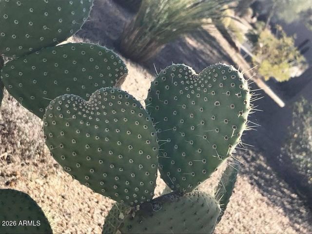 39402 N Spur Cross Road, Cave Creek, AZ 85331