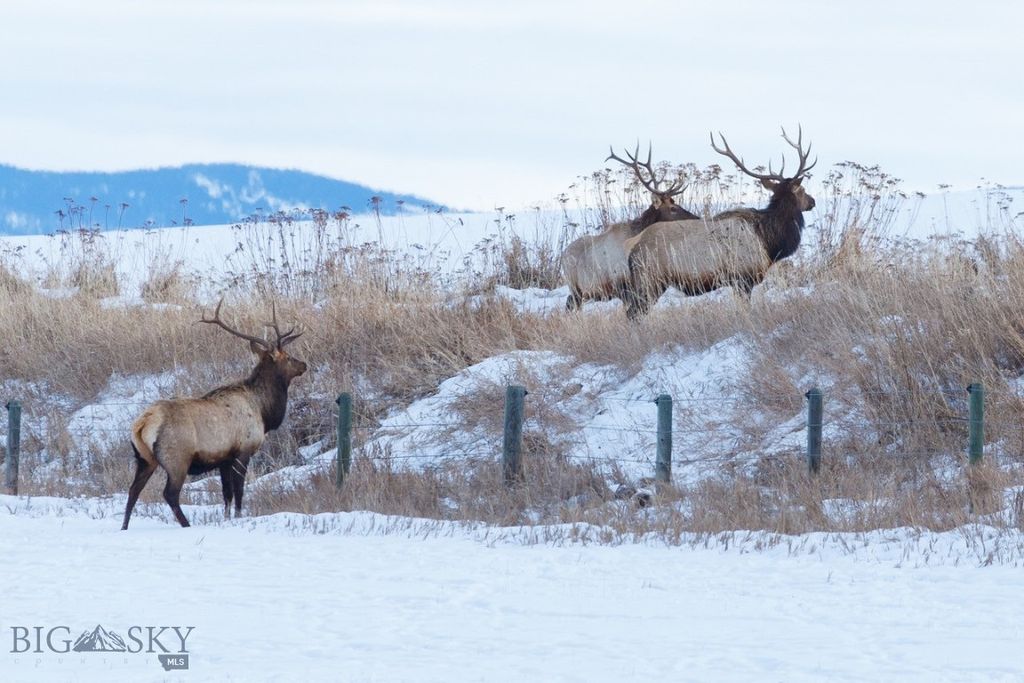 855 Deer Path, Bozeman, MT 59718 photo 40