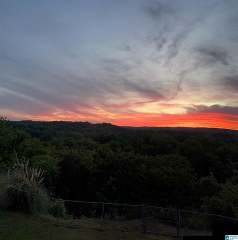554 RIVER RIDGE ROAD, Cleveland, AL 35049