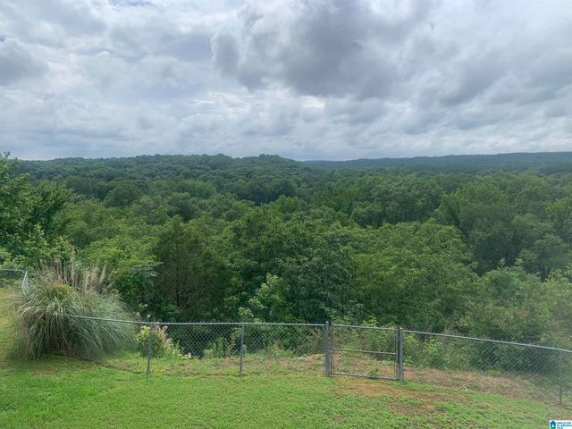 554 RIVER RIDGE ROAD, Cleveland, AL 35049