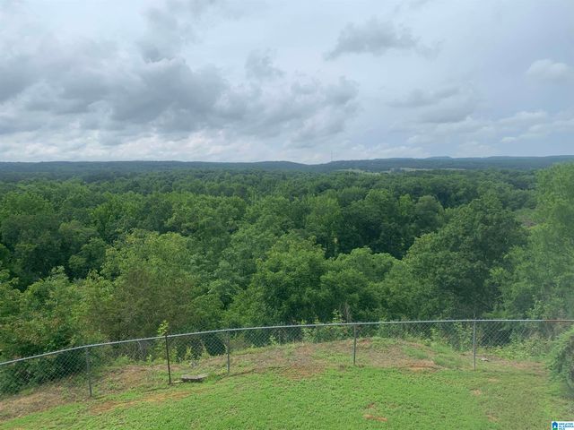 554 RIVER RIDGE ROAD, Cleveland, AL 35049