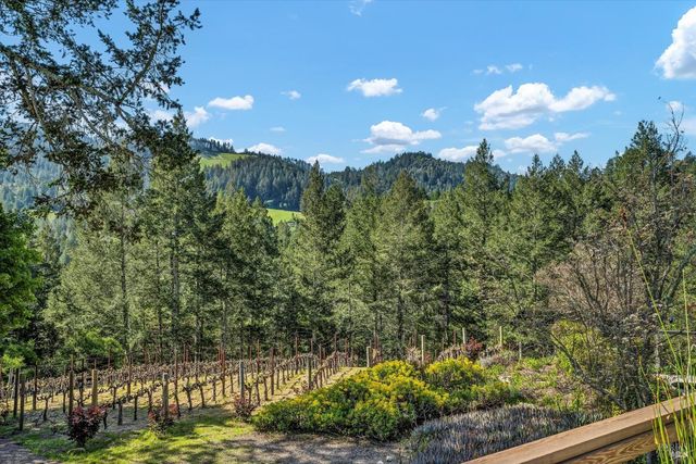 511 Kortum Canyon Rd, Calistoga, CA 94515