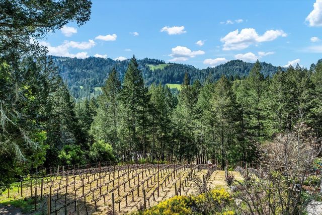 511 Kortum Canyon Rd, Calistoga, CA 94515