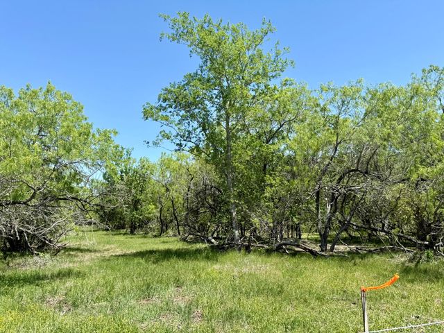 TBD Acorn RD 3, Lockhart, TX 78644
