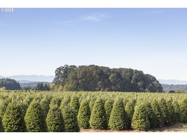25110 Sw RED PRAIRIE Rd, Sheridan, OR 97378