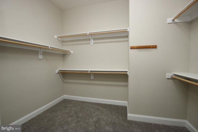 114 TURNSTONE LN, Lake Frederick, VA 22630