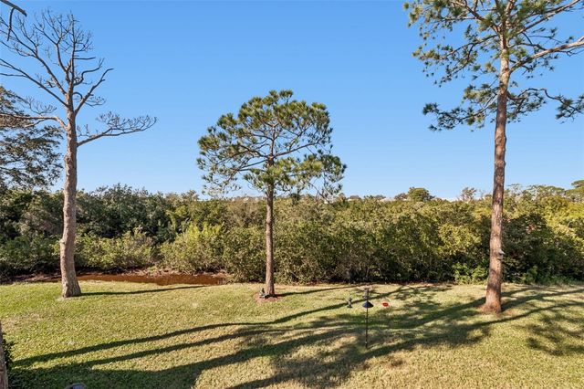 1059 S POINTE ALEXIS DR, Tarpon Springs, FL 34689