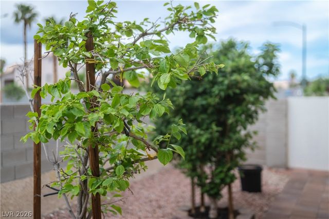 8993 Crystal Lagoon Court, Las Vegas, NV 89147