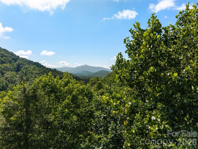 23.53 Acres Ballard Creek Road, Fairview, NC 28730
