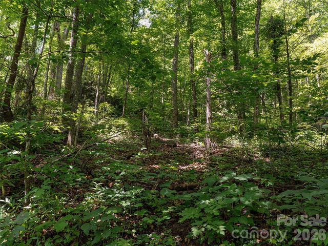 23.53 Acres Ballard Creek Road, Fairview, NC 28730