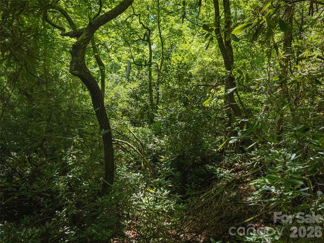 23.53 Acres Ballard Creek Road, Fairview, NC 28730