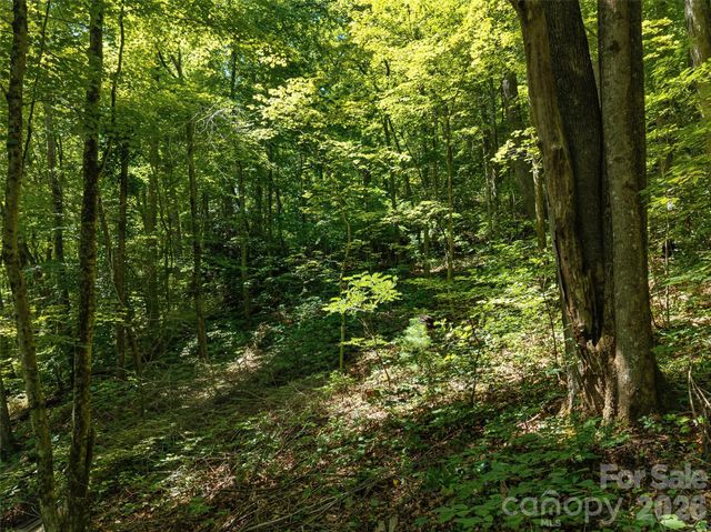23.53 Acres Ballard Creek Road, Fairview, NC 28730