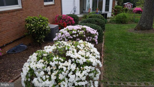 6052 6TH ST N, Arlington, VA 22203