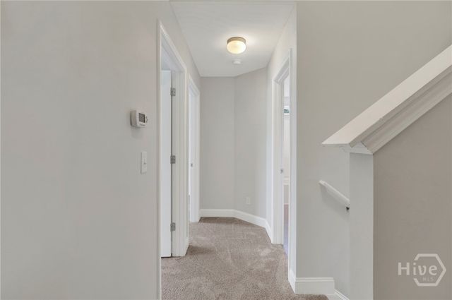 163 Horizon Lane, Richmond Hill, GA 31324