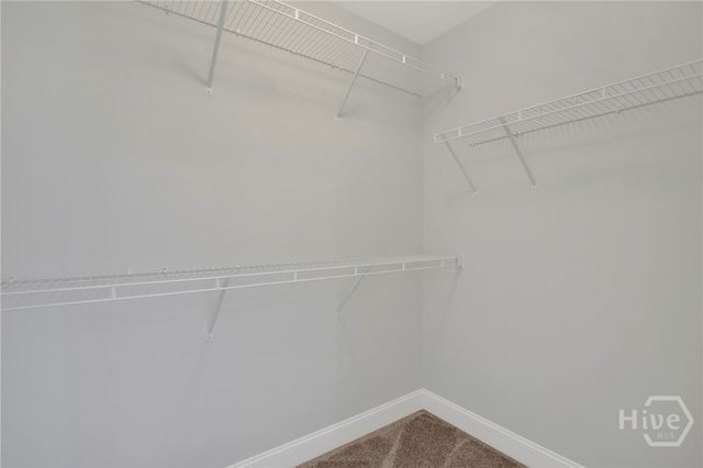 163 Horizon Lane, Richmond Hill, GA 31324