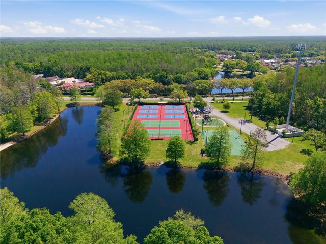 3962 MERMOOR DRIVE, Palm Harbor, FL 34685