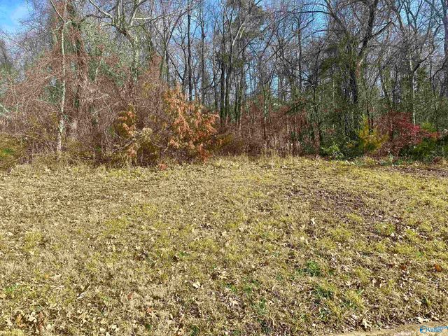 2812 Talon Circle NE, Huntsville, AL 35811