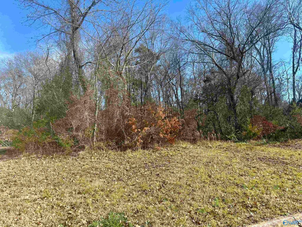 2812 Talon Circle NE, Huntsville, AL 35811