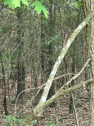 0 Highway 49, Mebane, NC 27302