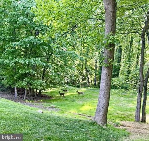 2235 ABBOTSFORD DR, Vienna, VA 22181