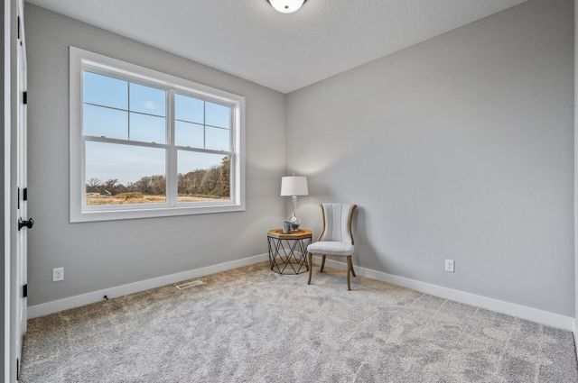 L1 B1 Flamingo Street NW, Oak Grove, MN 55011